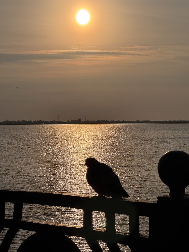 Photograph by Арина Бурда