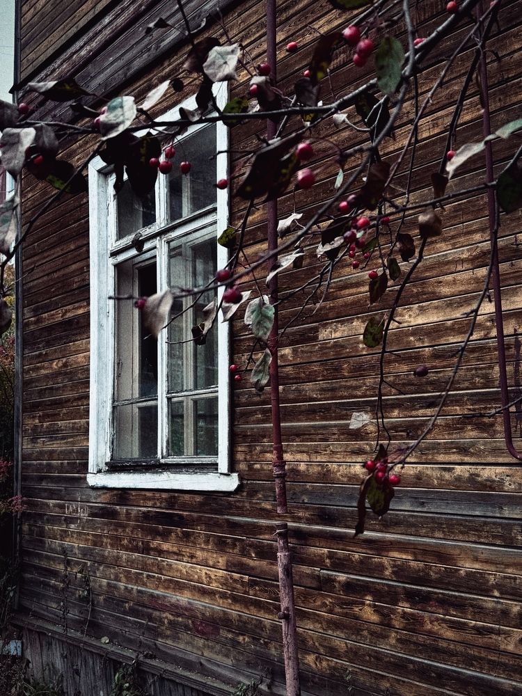 Photograph by Арина Бурда