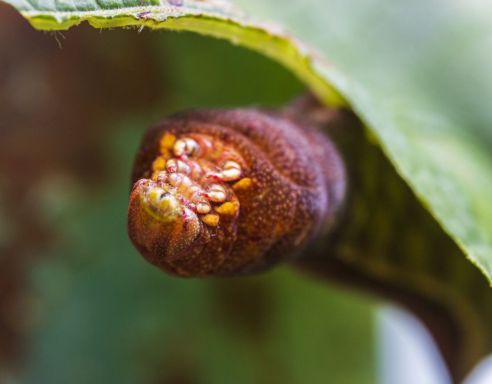 Photograph by Sergey Tsubanov