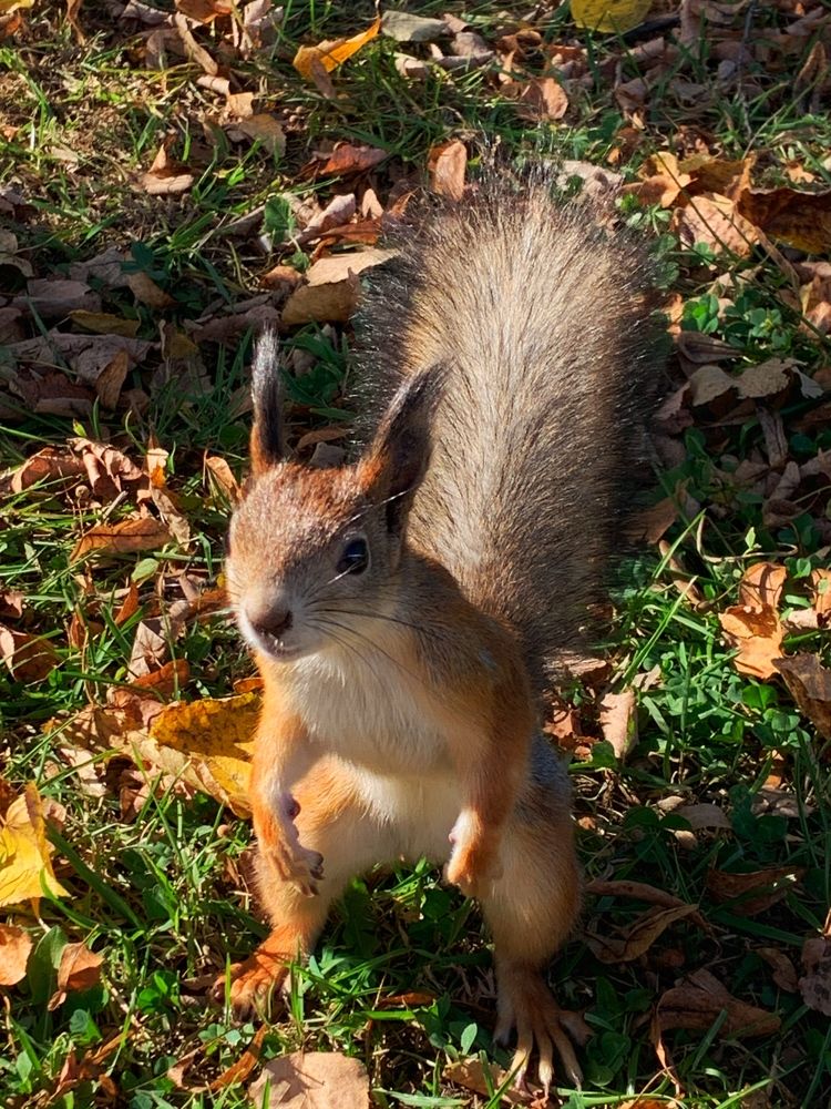 Фотография автора Дмитрий Грехов