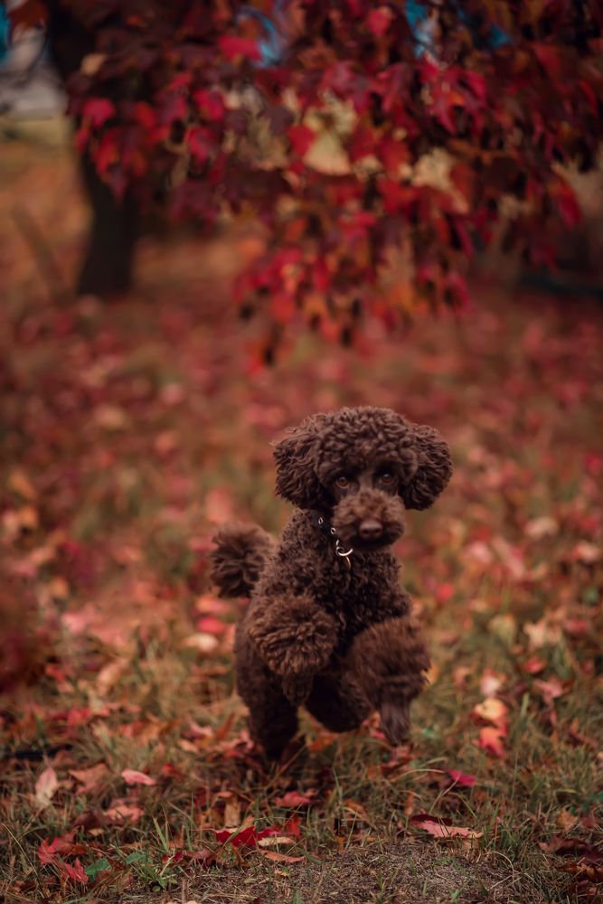 Только вперед