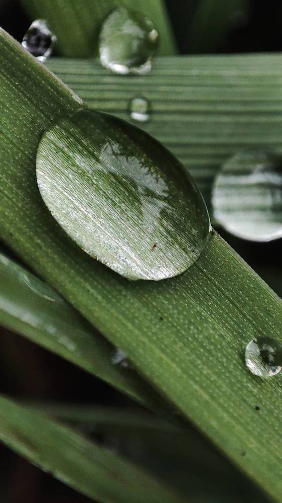 Photograph by Ирина Строкова