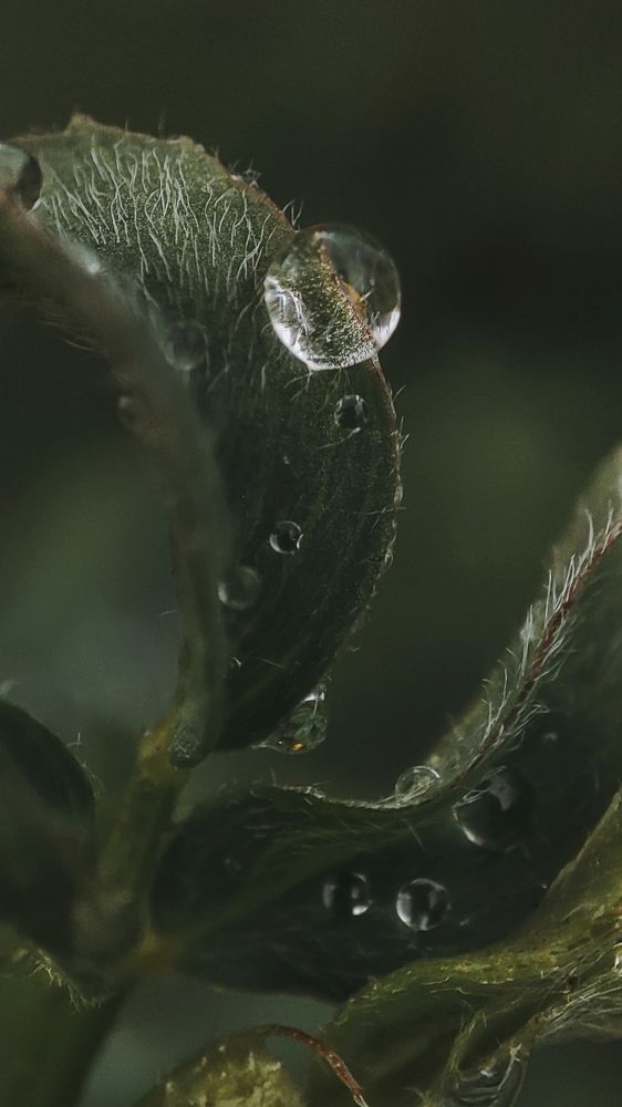 Photograph by Ирина Строкова