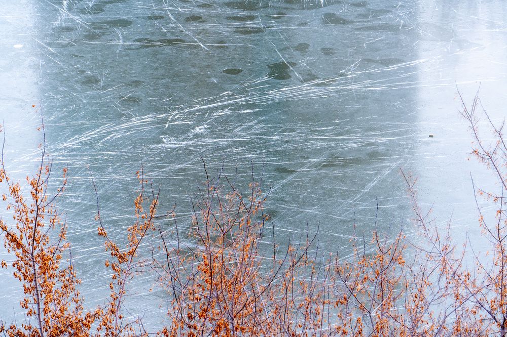 Photograph by Елена Николайчук