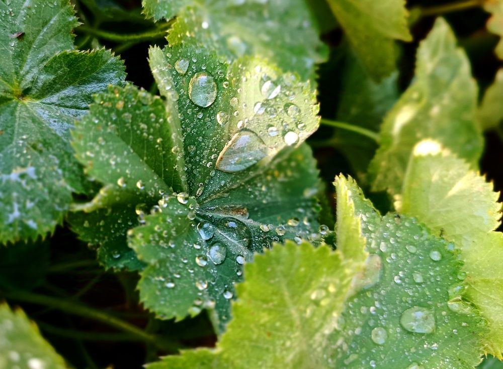 Photograph by Olga Kot