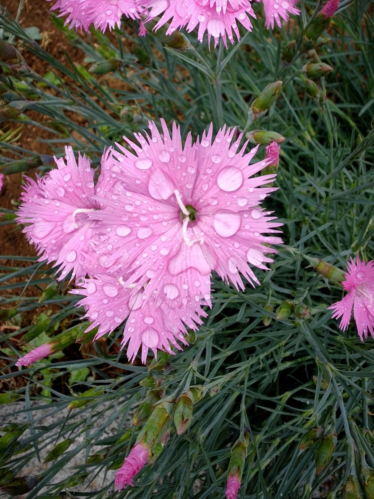 Photograph by Игорь Крыжко