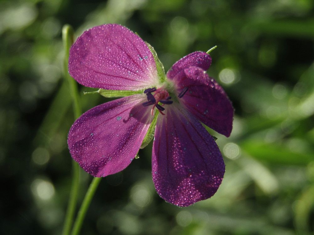 Photograph by Olga Kot