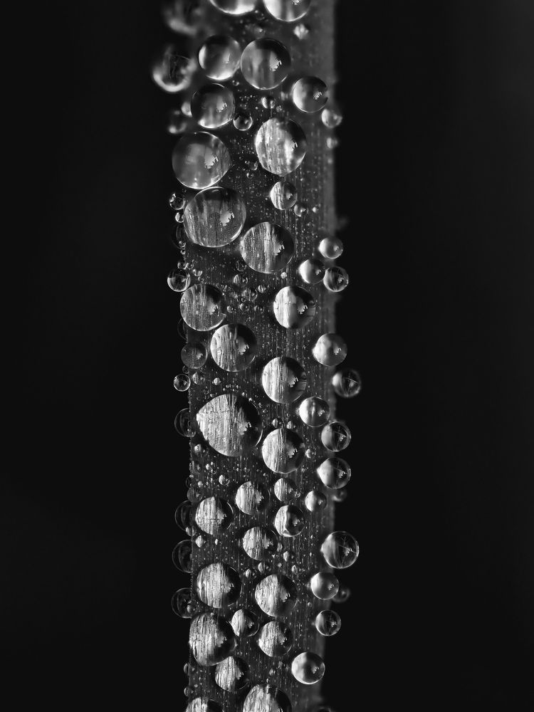 Photograph by Ирина Протченко