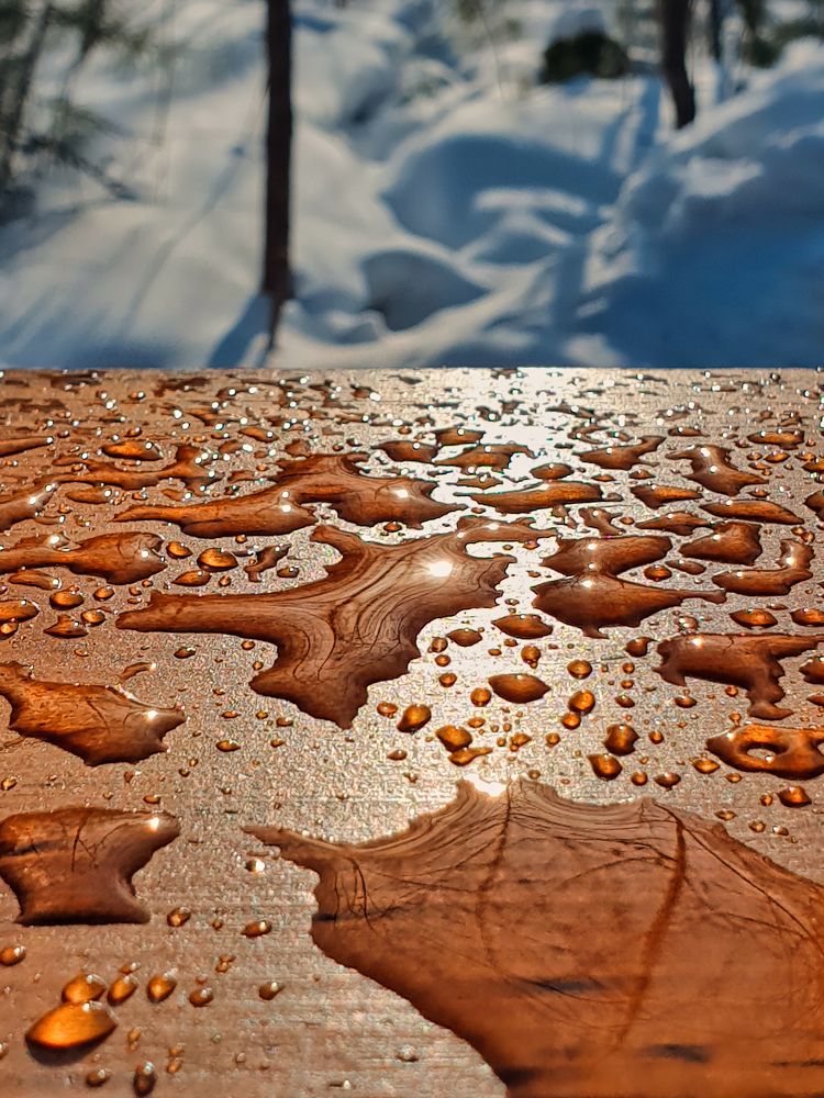 Photograph by Grebnev (DicDoc) Dmitriy