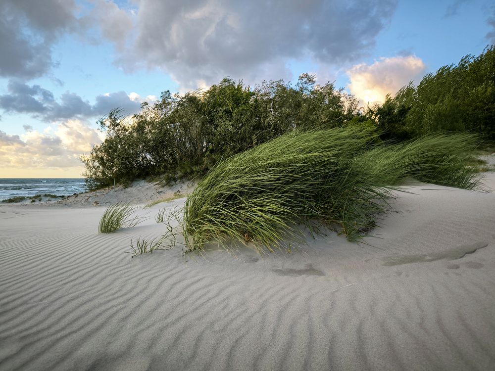 Ветер на пляже