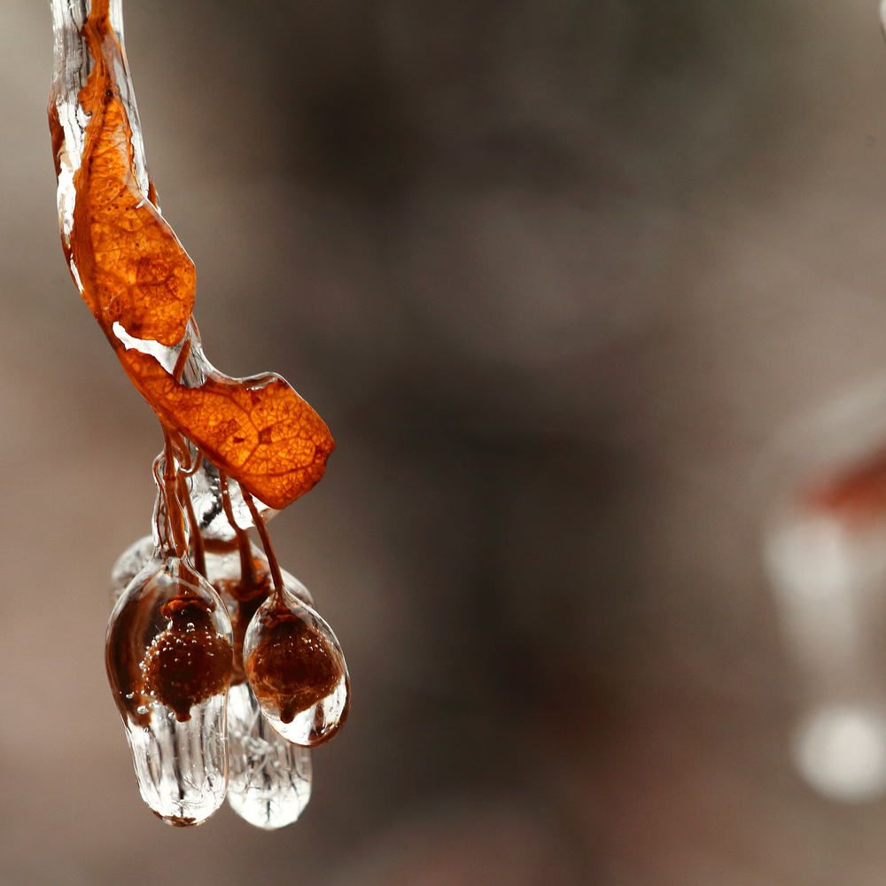 Photograph by Илья Шишков