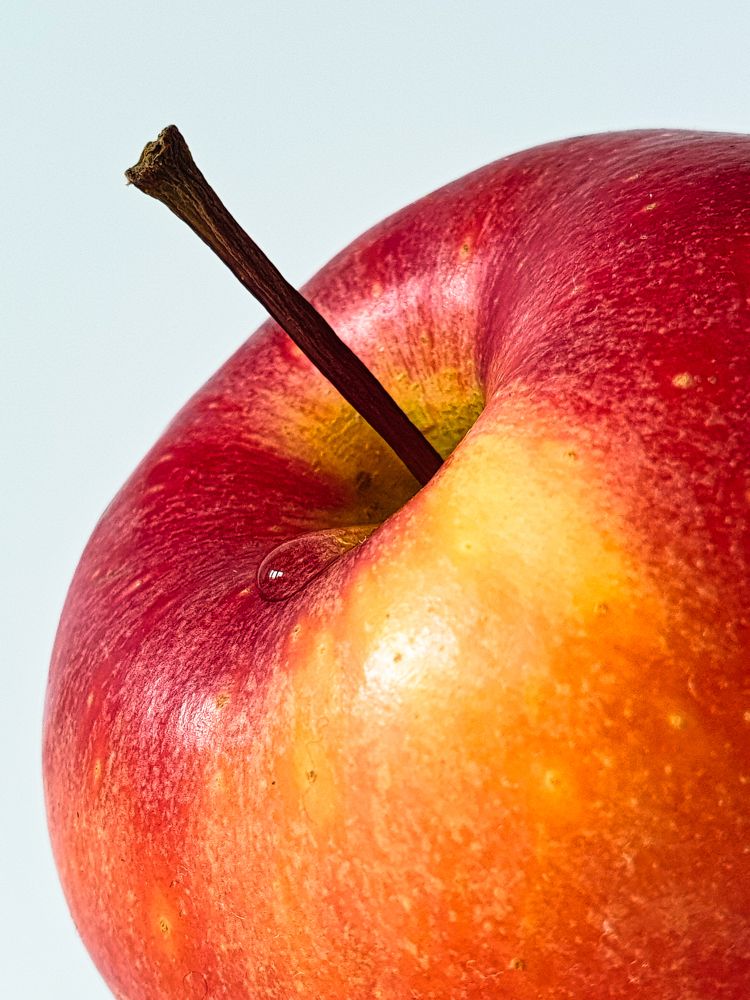 Photograph by Grebnev (DicDoc) Dmitriy