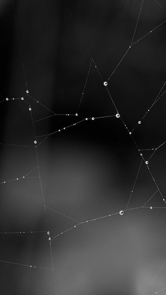 Photograph by Mariia Voloshina