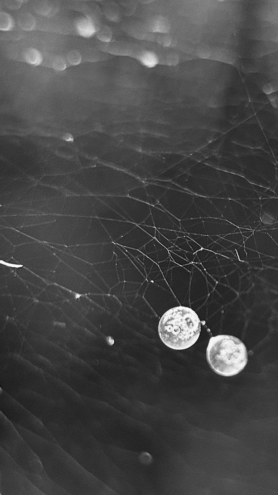 Photograph by Mariia Voloshina