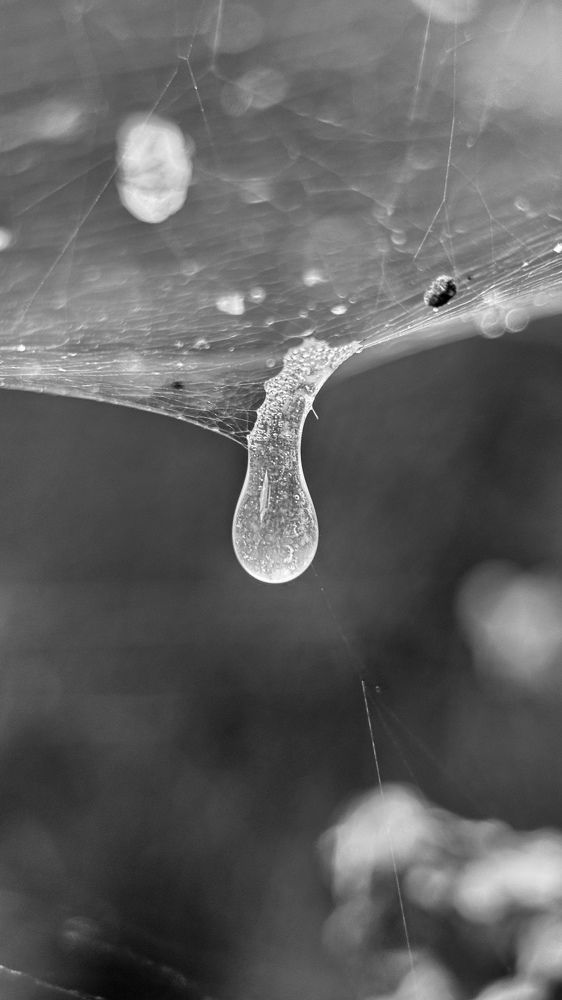 Photograph by Mariia Voloshina