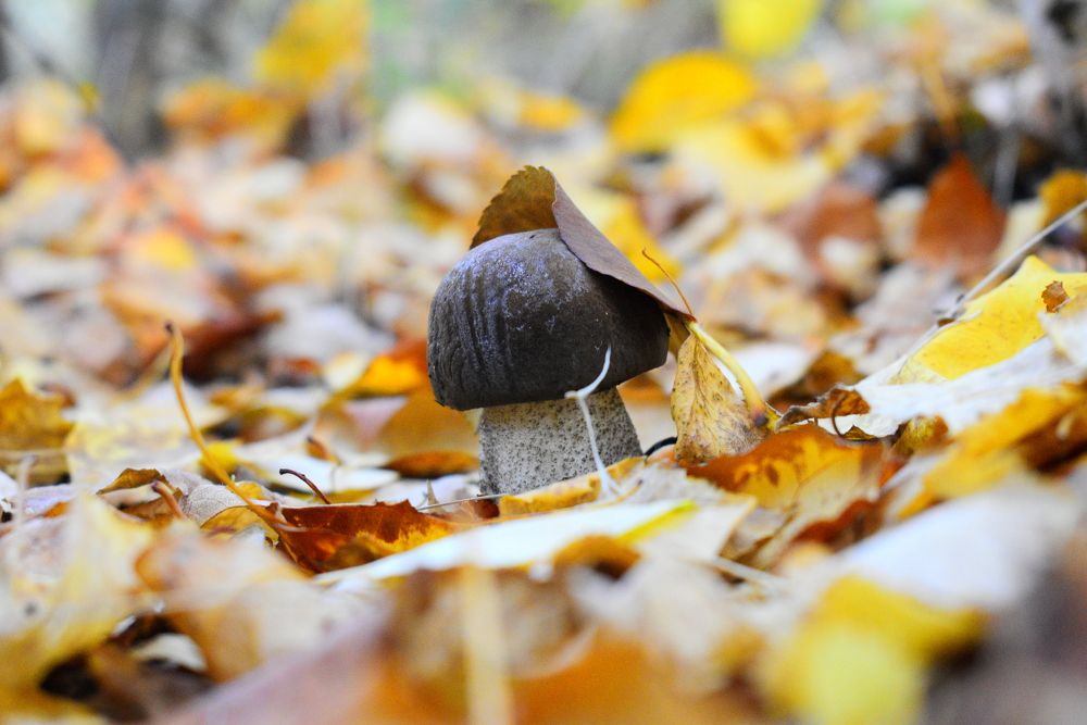 Photograph by Екатерина Скоропадова