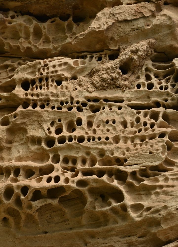 Photograph by Amin Golestanipour