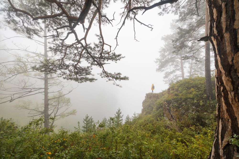 В ожидании...