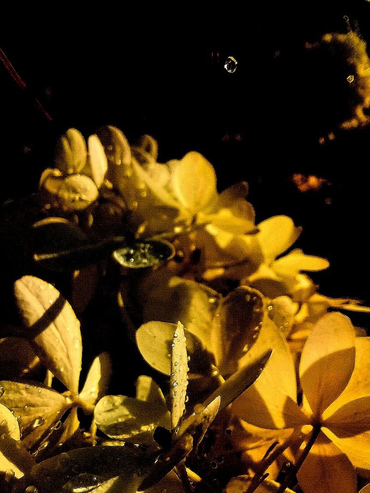 Photograph by Татьяна Трофименко