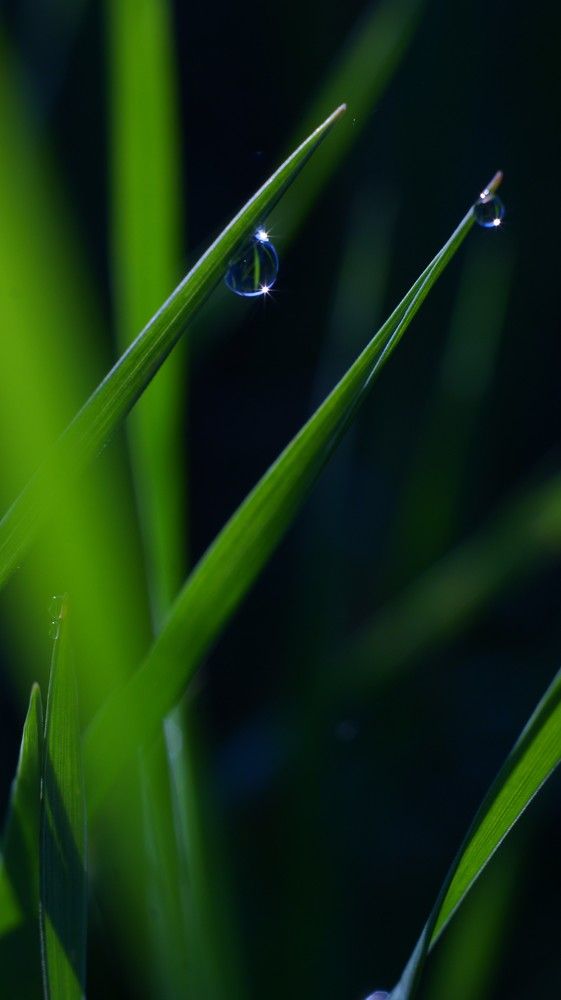 Photograph by Наталья Канищева-Медынская