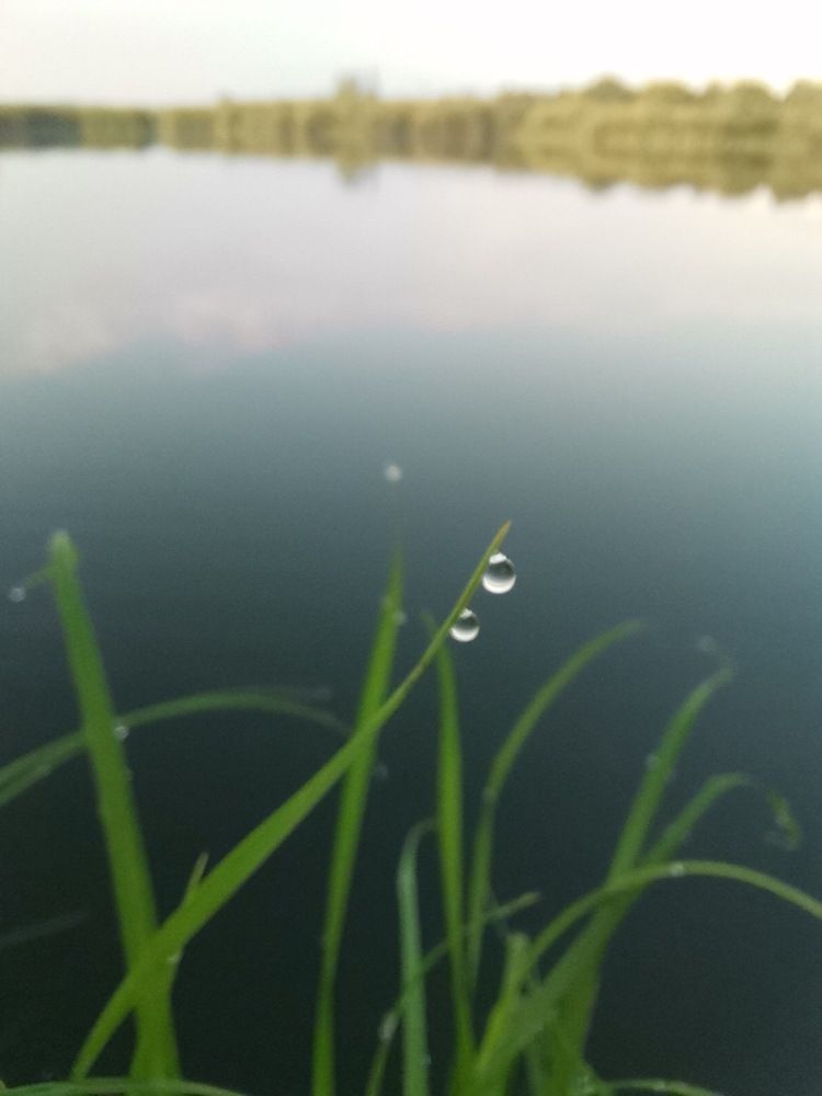 Photograph by Татьяна Трофименко