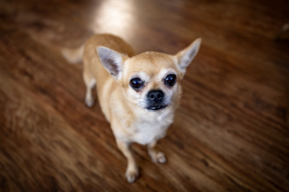 Photograph by Касьянова Ольга