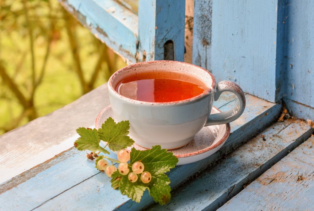 Photograph by Лариса Толкачёва