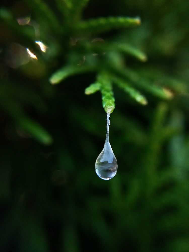 Photograph by Наталья Канищева-Медынская