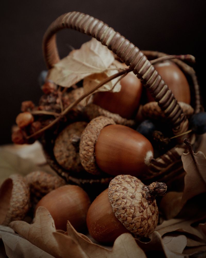 Photograph by Анна Чичилова