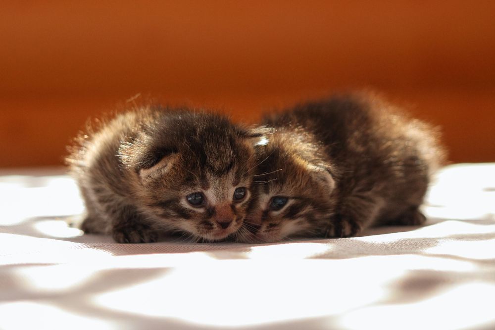 Photograph by Ангелина Высочина