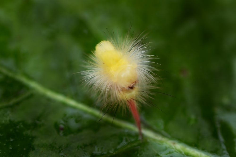 Photograph by Наталья Матюхина