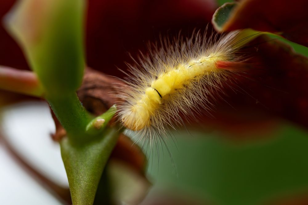 Photograph by Наталья Матюхина