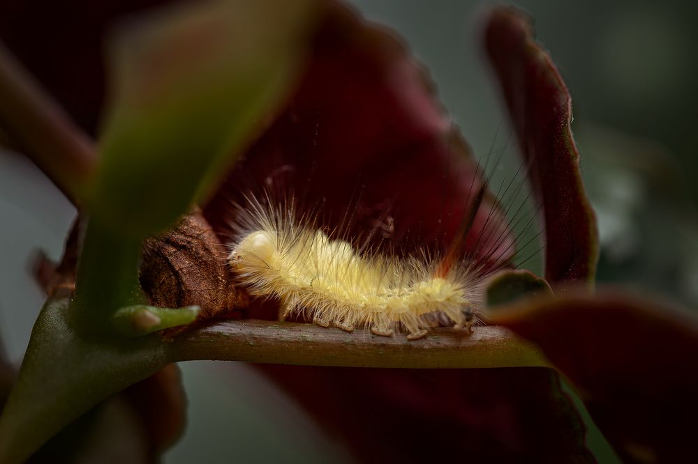 Photograph by Наталья Матюхина