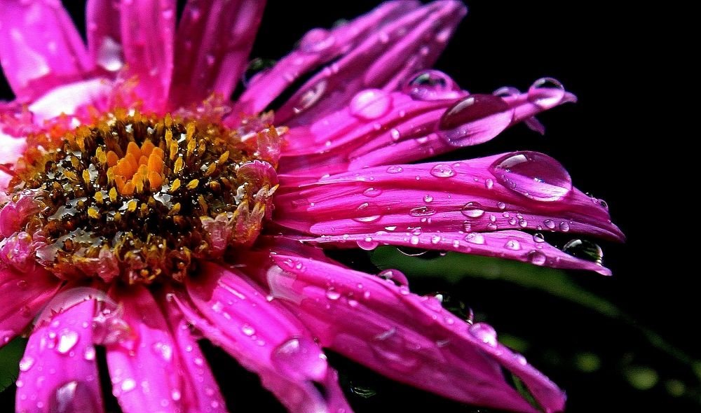 Photograph by Александр Велигура