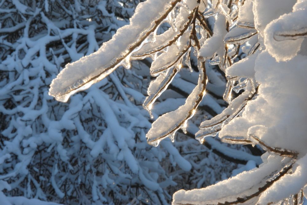 Photograph by Ольга Козлова