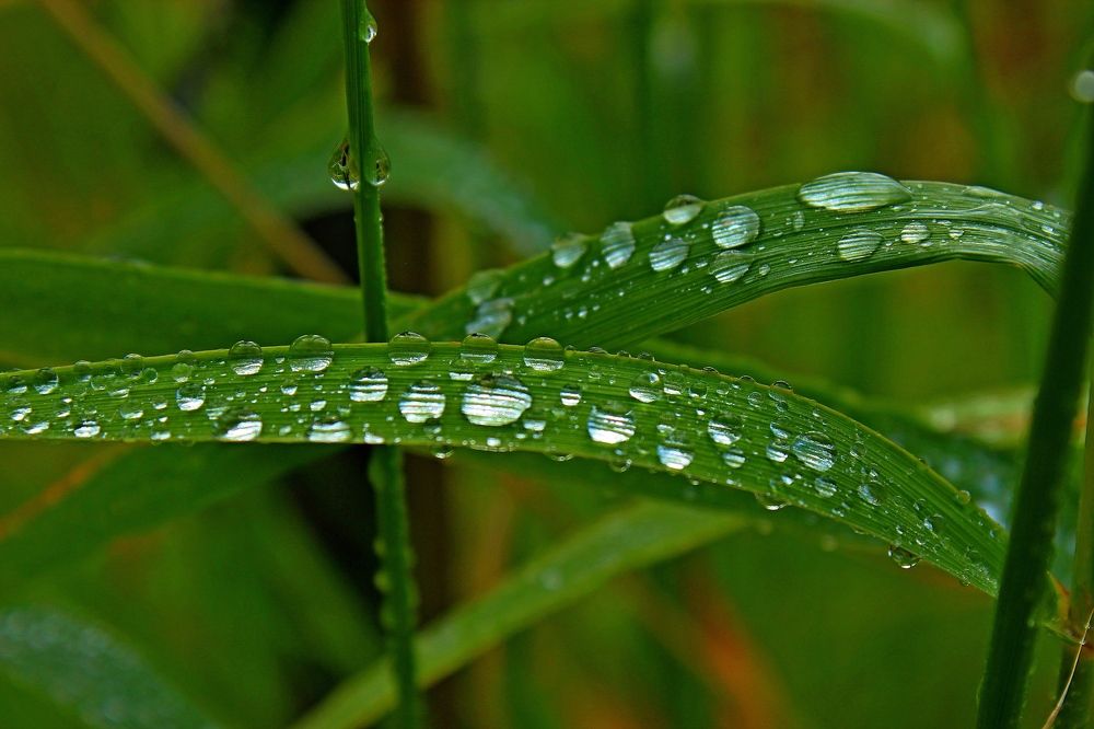 Photograph by Александр Велигура