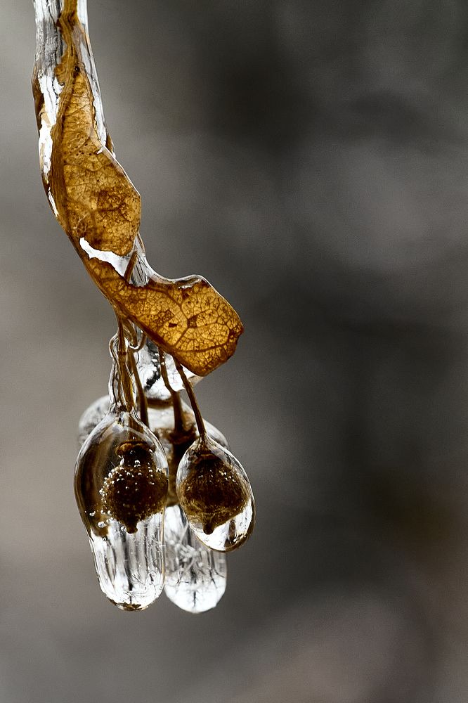 Photograph by Илья Шишков