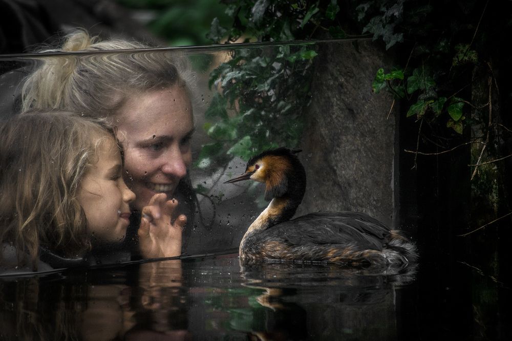 Photograph by Renee Johansson