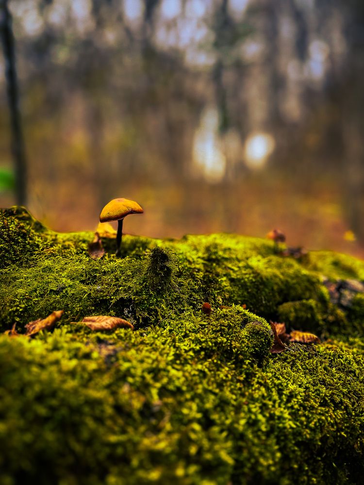 Фотография автора Денис