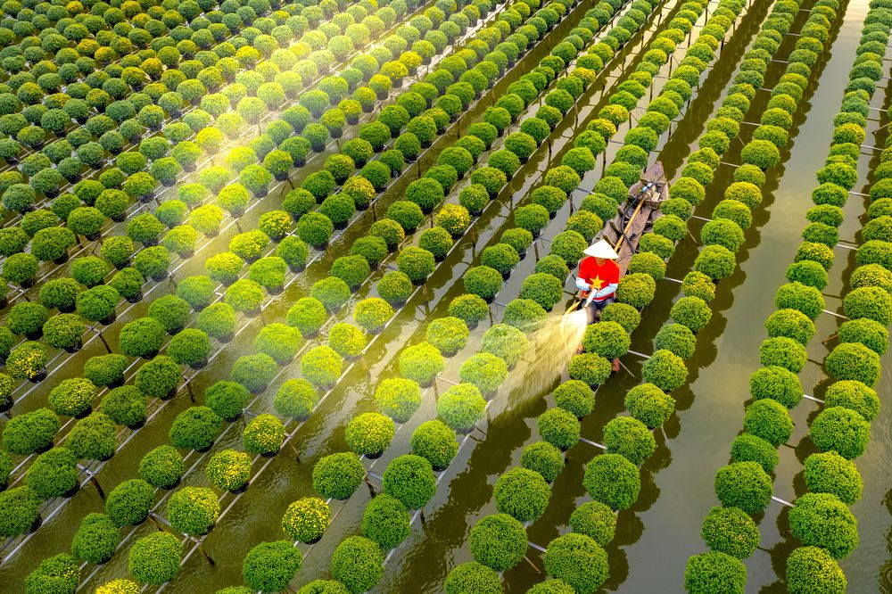 Фотография автора Pham Quynh Nga