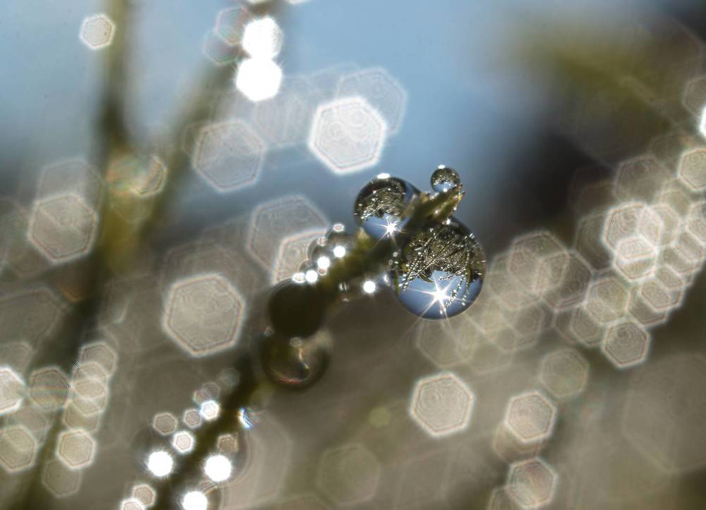 Photograph by Sergey Tsubanov