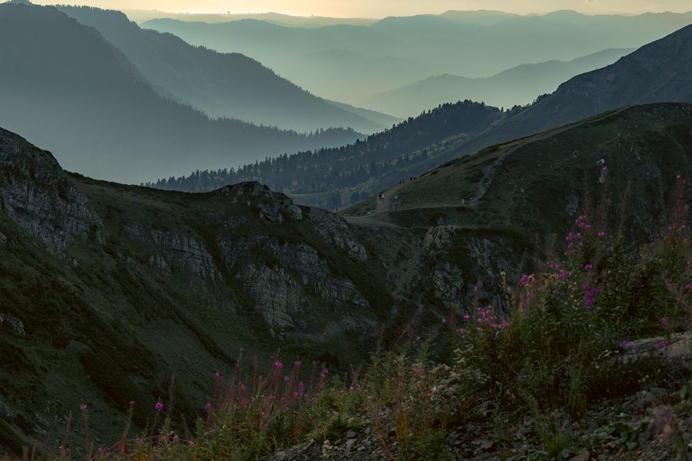 Photograph by Галина Аскольдовна Луковникова