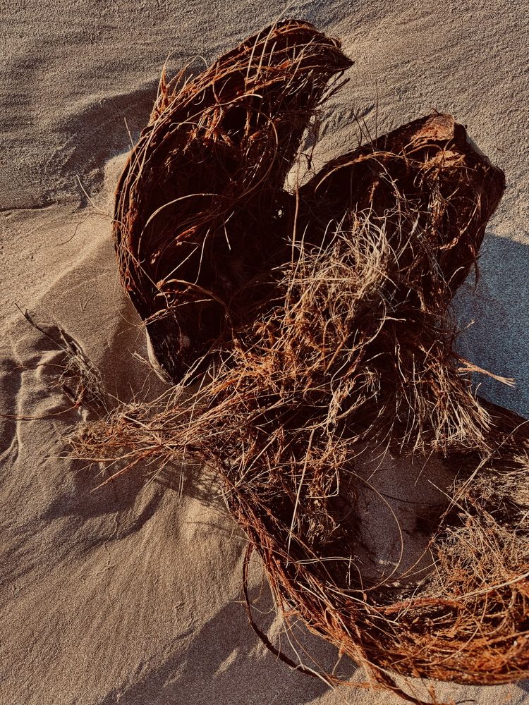 Photograph by Юлия Кузминкова