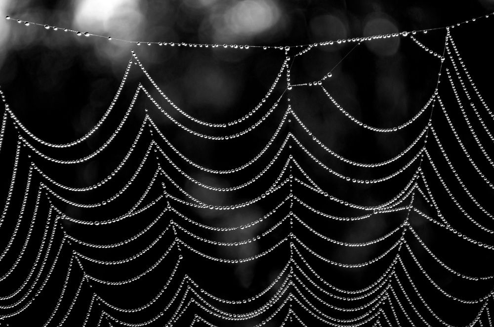 Photograph by Любовь Бусова