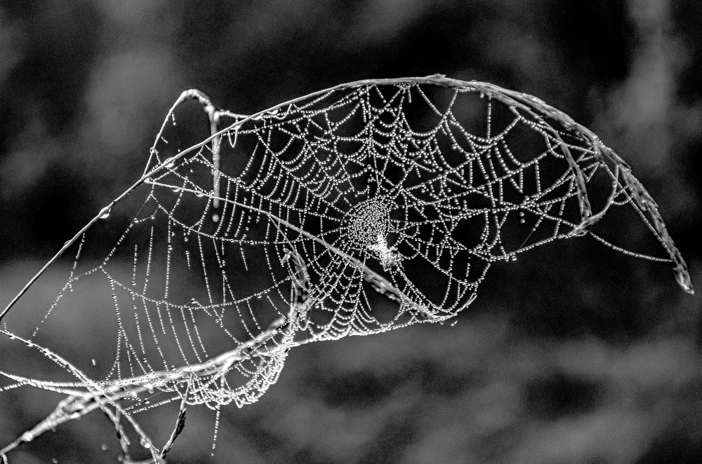 Photograph by Любовь Бусова