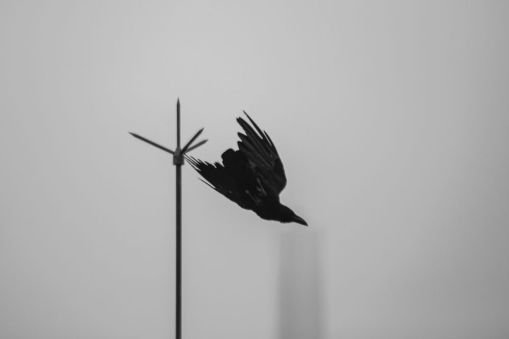 Photograph by seth prabhavitha