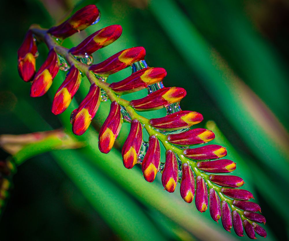 Photograph by Eva Wiedemann