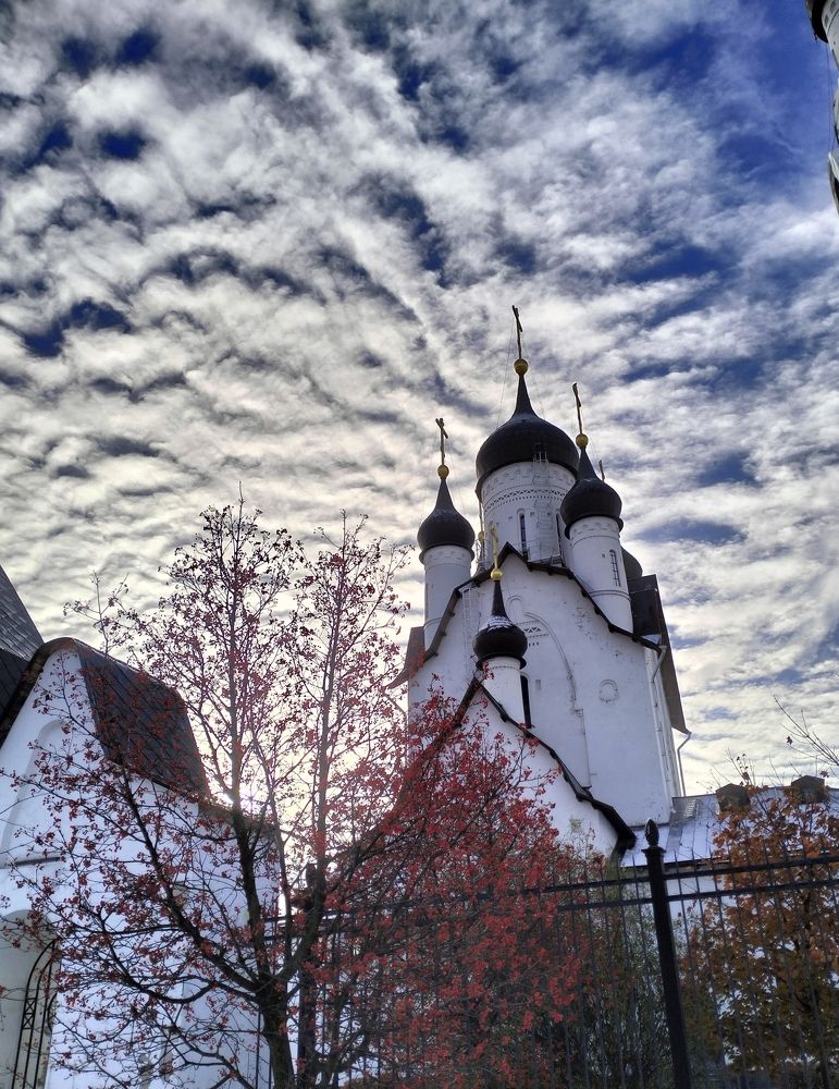 Photo #11465107