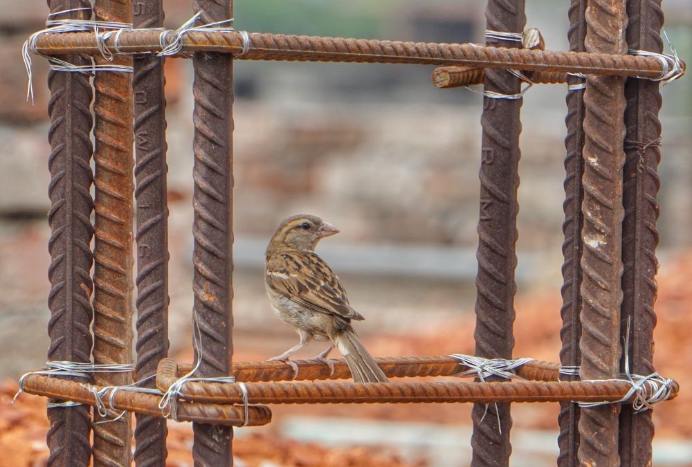 Фотография автора Washiful Majid