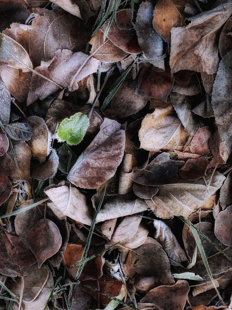 Photograph by Anastasia Malyukova